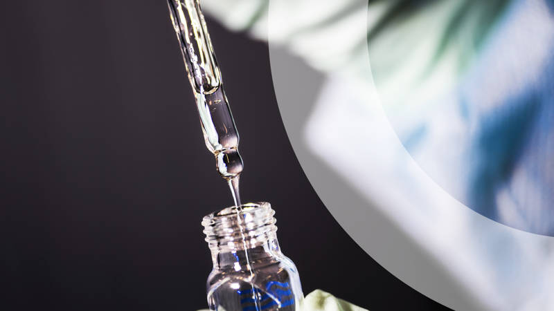 Ferienhaus Noord Holland LekkerNaarZee